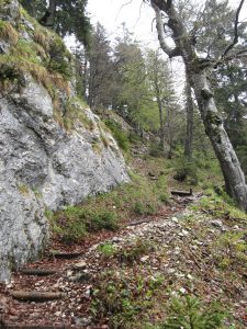 KaisergebirgeAufstieg_7