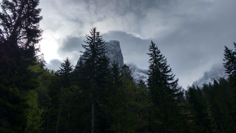 KaisergebirgeAbstieg_11