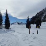 GruensteinWinter_06