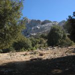 Sardinien_MonteCorrasi_01