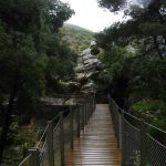 CaminitoDelRey_07