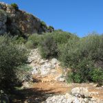 MonteCofano_02