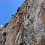 CalaMancinaZooWhiteWall_02