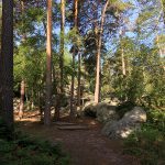 BouldernFontainebleau_01