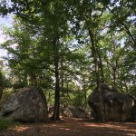 BouldernFontainebleau_02