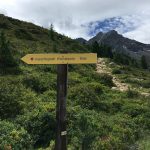 LehnerWF_Woeckelwarte_12