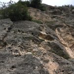 FalesiaDellaCentoCorde_03
