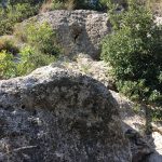 BricReseghe2_03