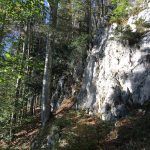 Zellerwand_05