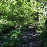Risserkogel_03