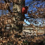 Speicherseecaching_11