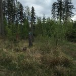 ErdingerLand_08