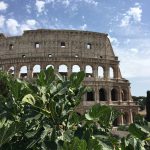 Roma_01