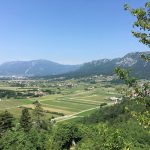 Vipava_04