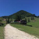 Friedenrath_02