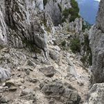 Kampenwand_17