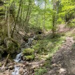 Hoerndlwand02