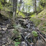 Hoerndlwand03