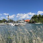 MattseeBuchberg_01