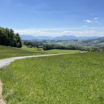 MattseeBuchberg_06