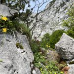Scheffau_05
