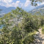 Panoramico_03