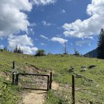 Weitlahnerkopf_03