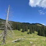 Weitlahnerkopf_04