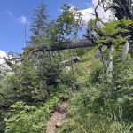 Weitlahnerkopf_07